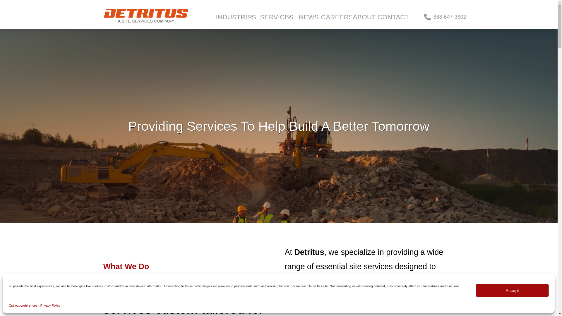website screenshot of https://trydetritusservices.com/