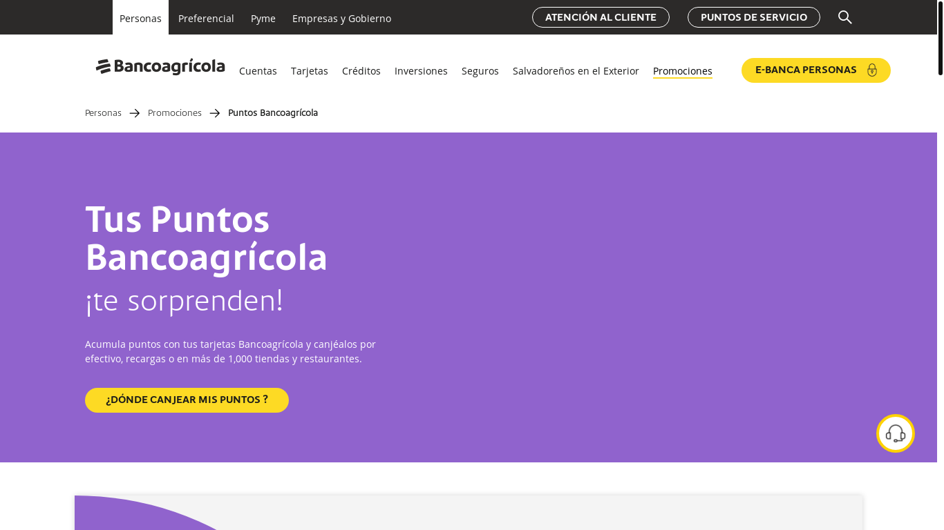 website screenshot of https://bareqwsar.top/