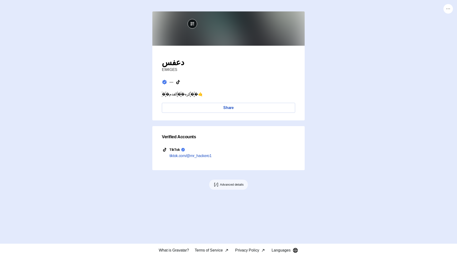 website screenshot of https://mrhacker.link/