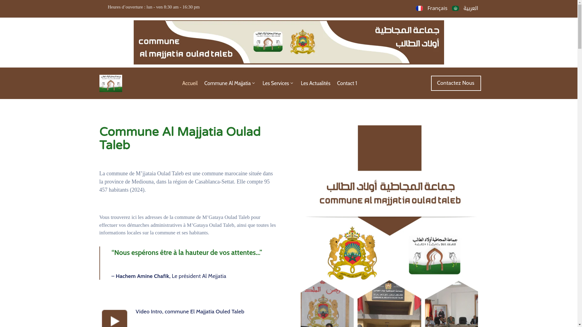 website screenshot of https://almjjatiaot.ma/