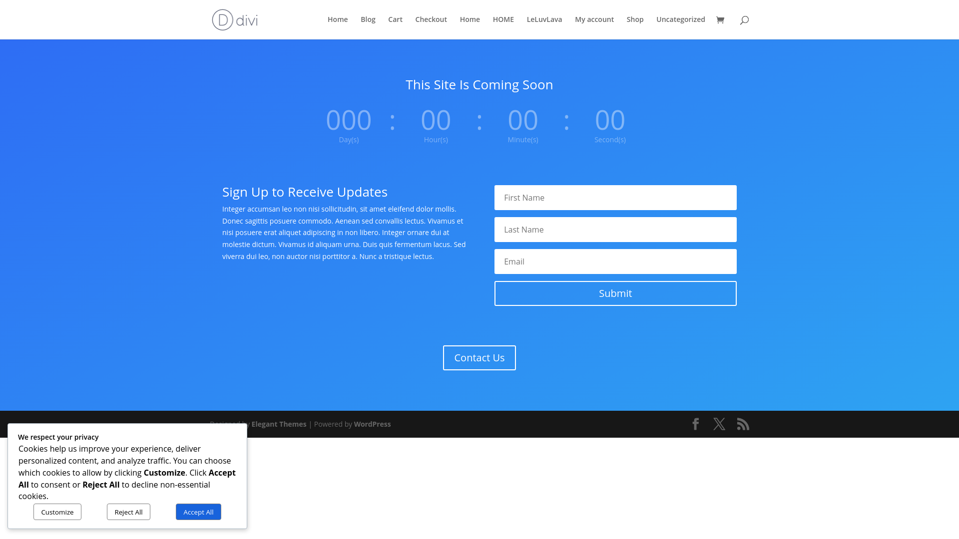 website screenshot of https://leluvlava.com/