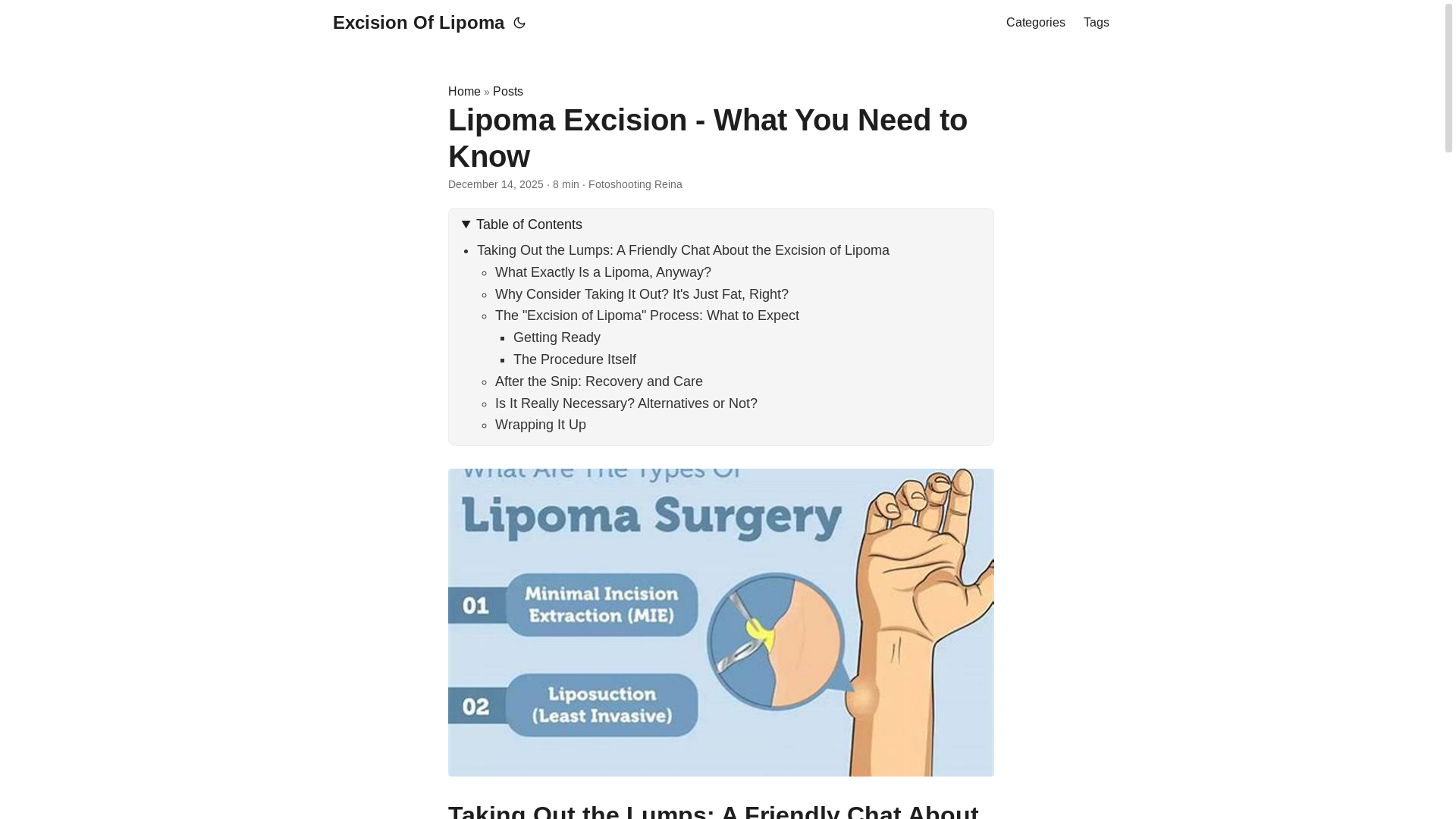 website screenshot of https://excisionoflipoma2.pages.dev/