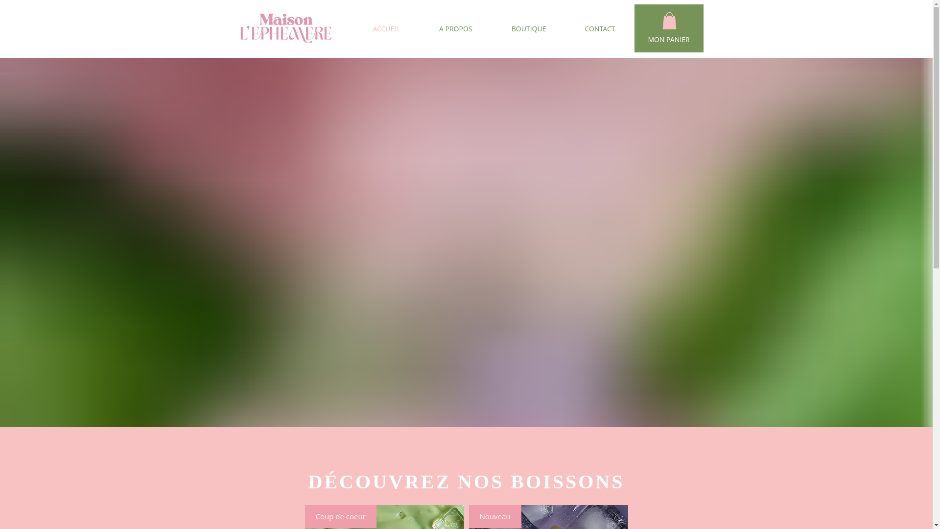 website screenshot of https://maisonlephemerefwi.com/