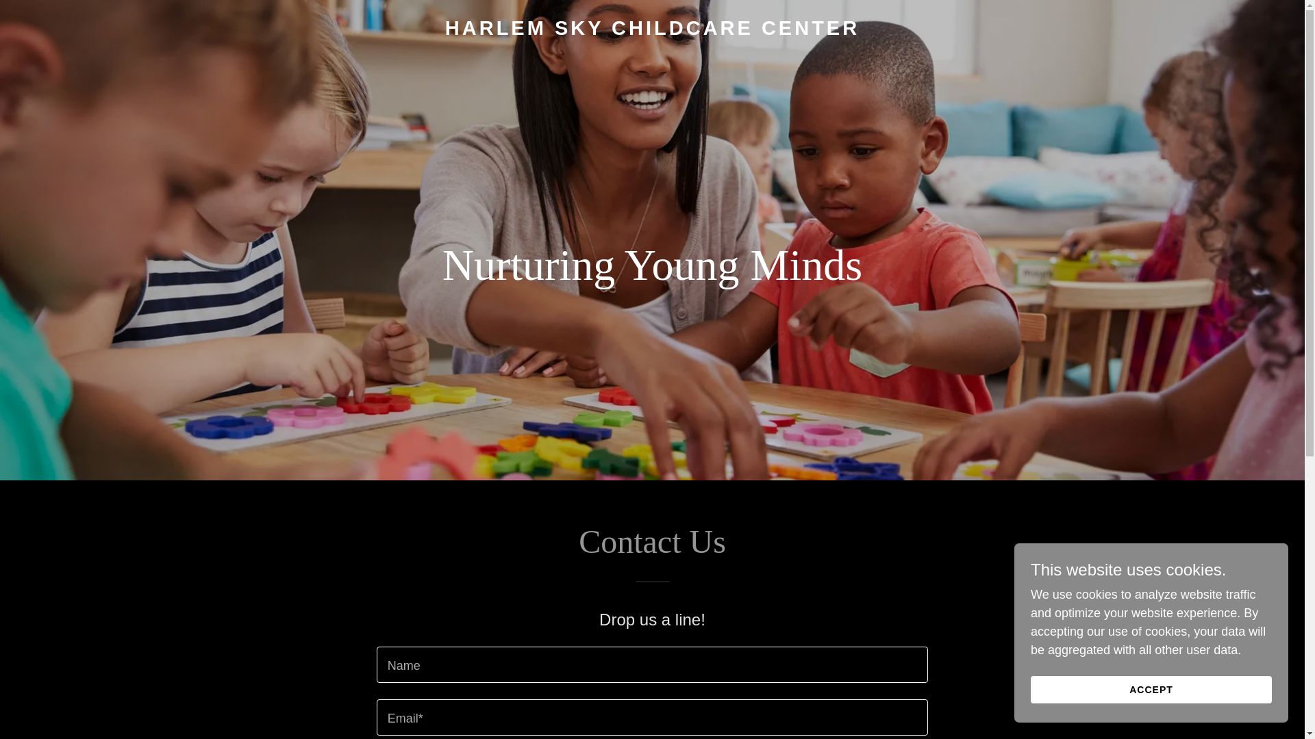 website screenshot of https://harlemskychildcarecenter.com/