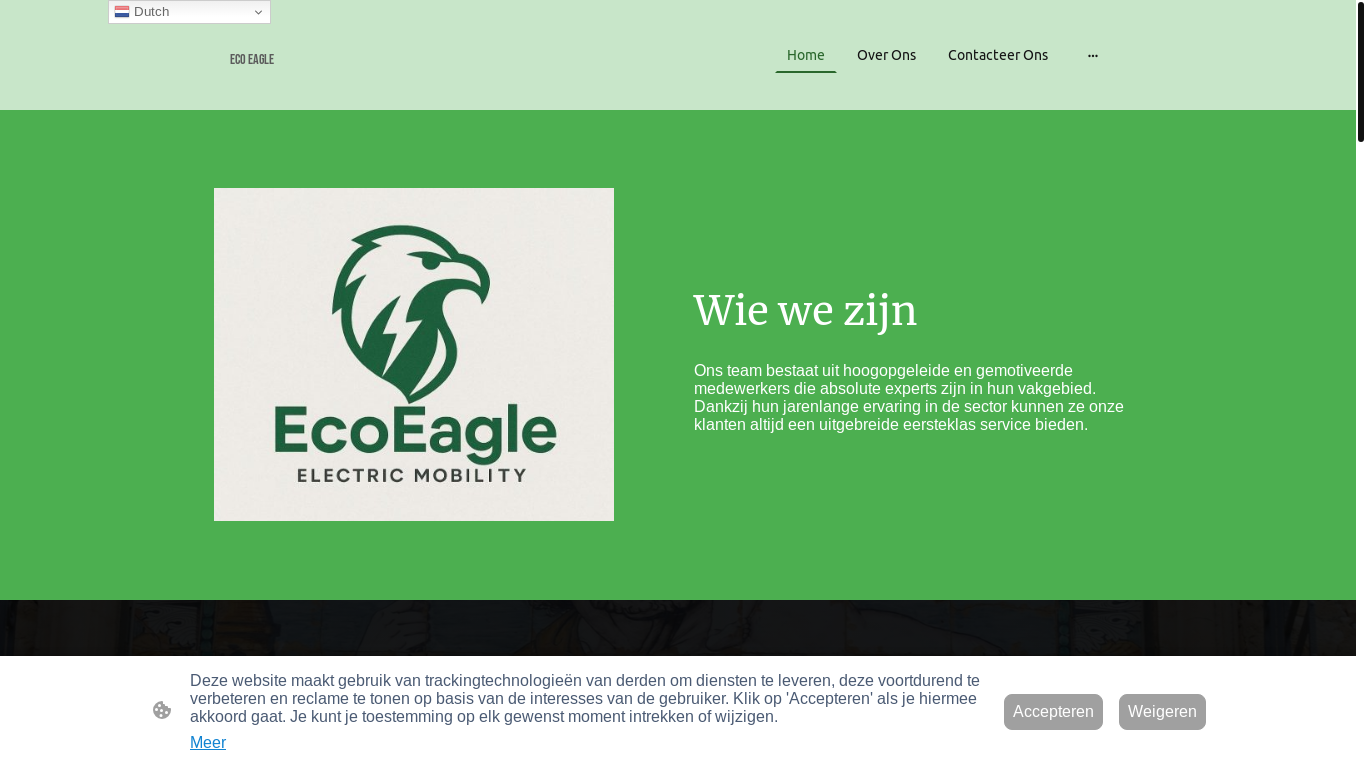 website screenshot of https://ecoeagle.es/