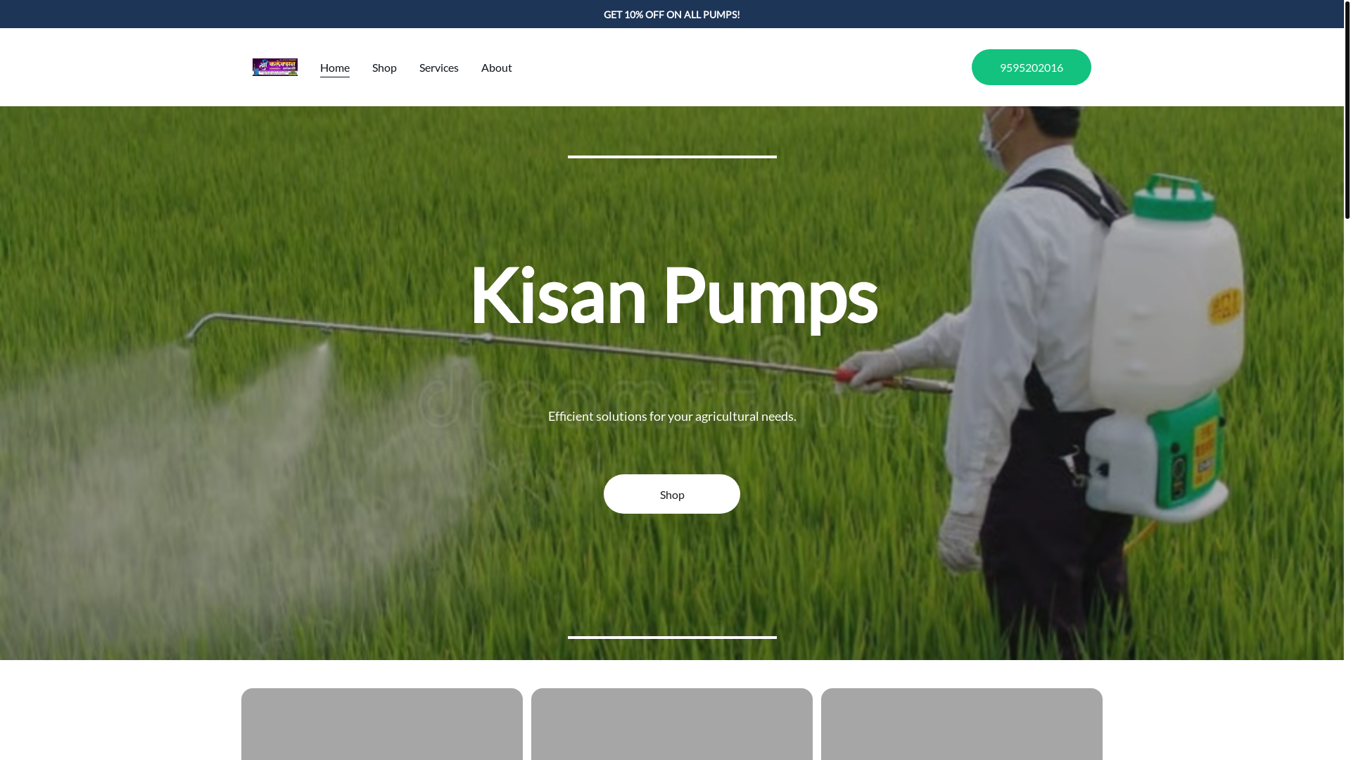 website screenshot of https://shreekisanpumps.com/