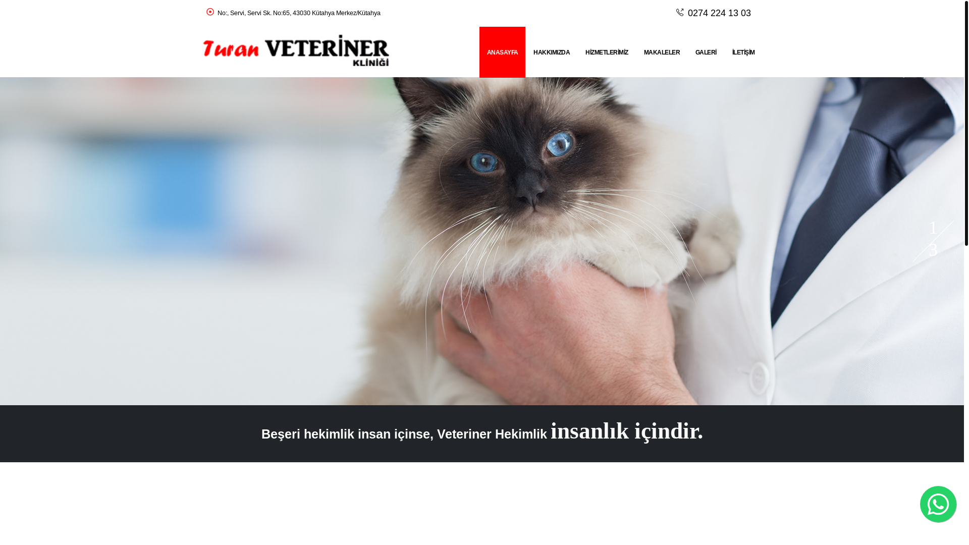 website screenshot of https://turanvet.com.tr/