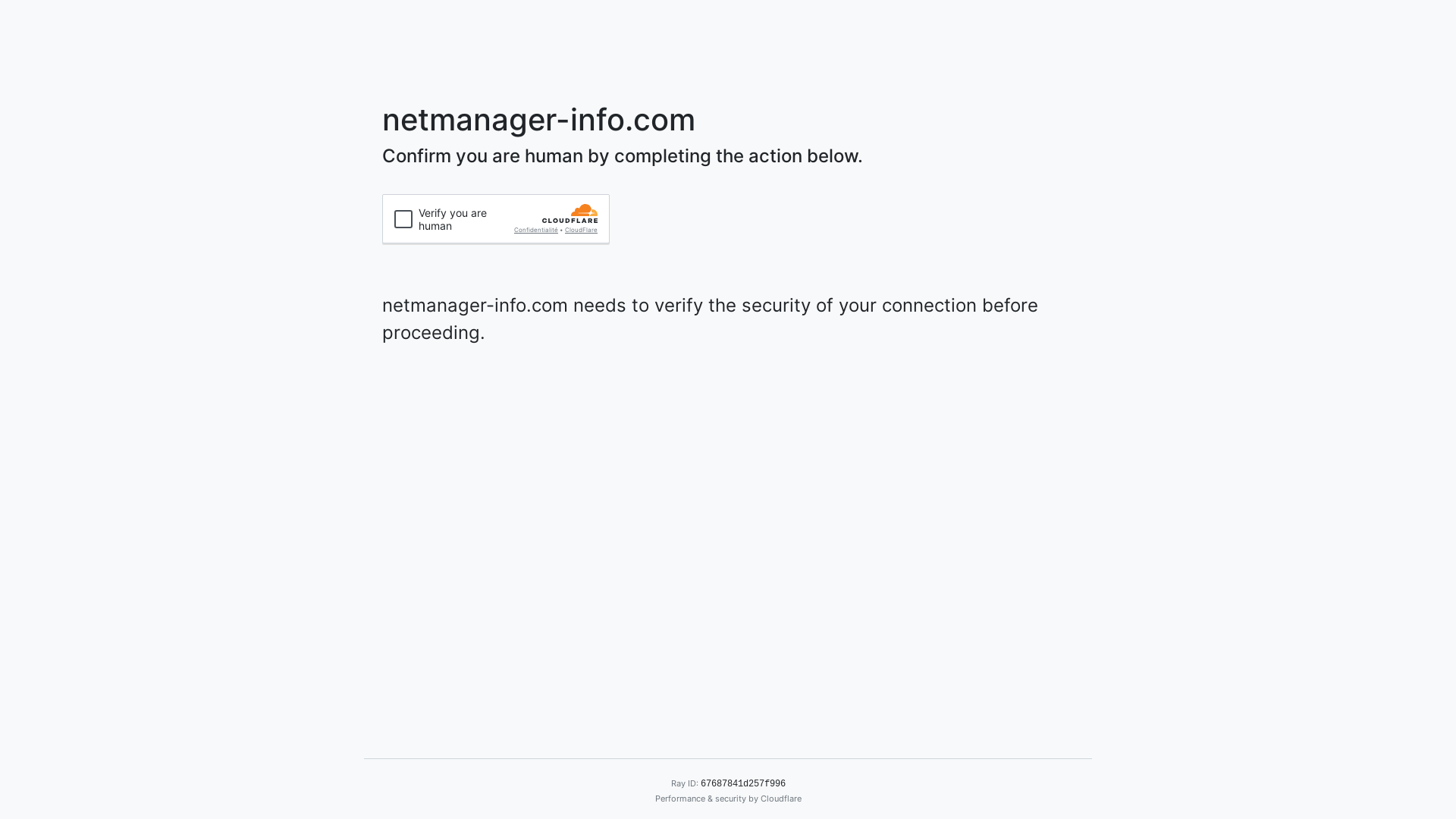 website screenshot of https://netmanager-info.com/