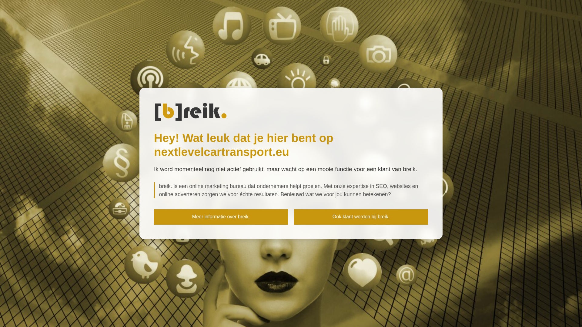 website screenshot of https://nextlevelcartransport.eu/