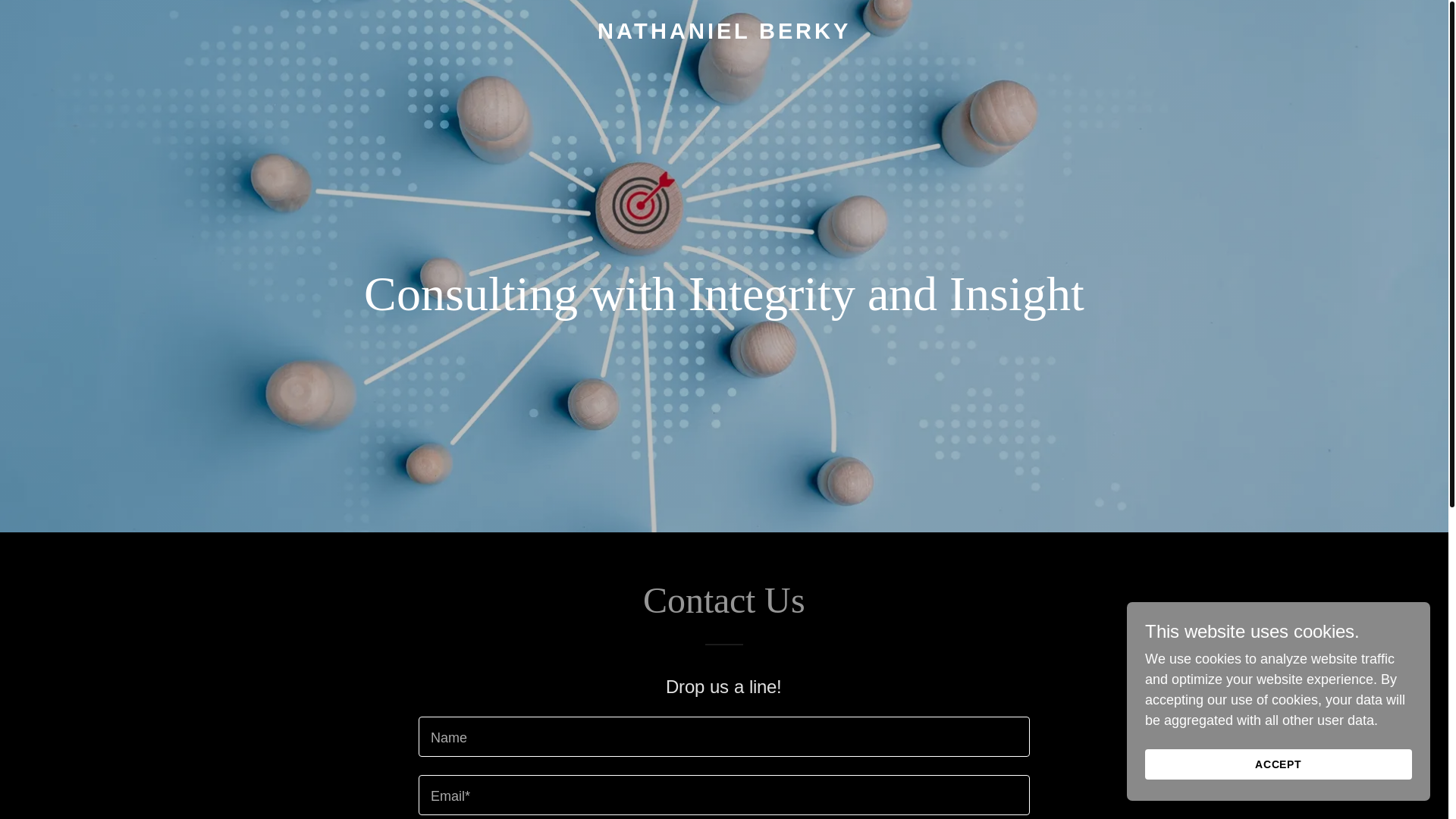 website screenshot of https://nathanielberky.com/