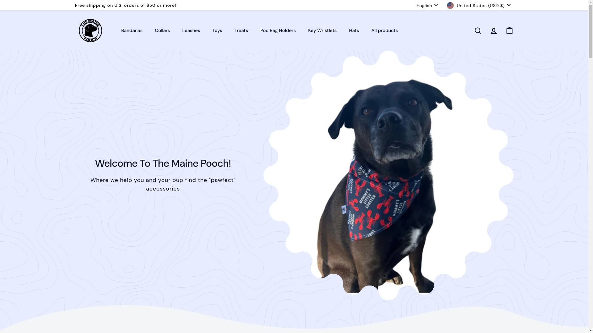 website screenshot of https://themainpooch.com/