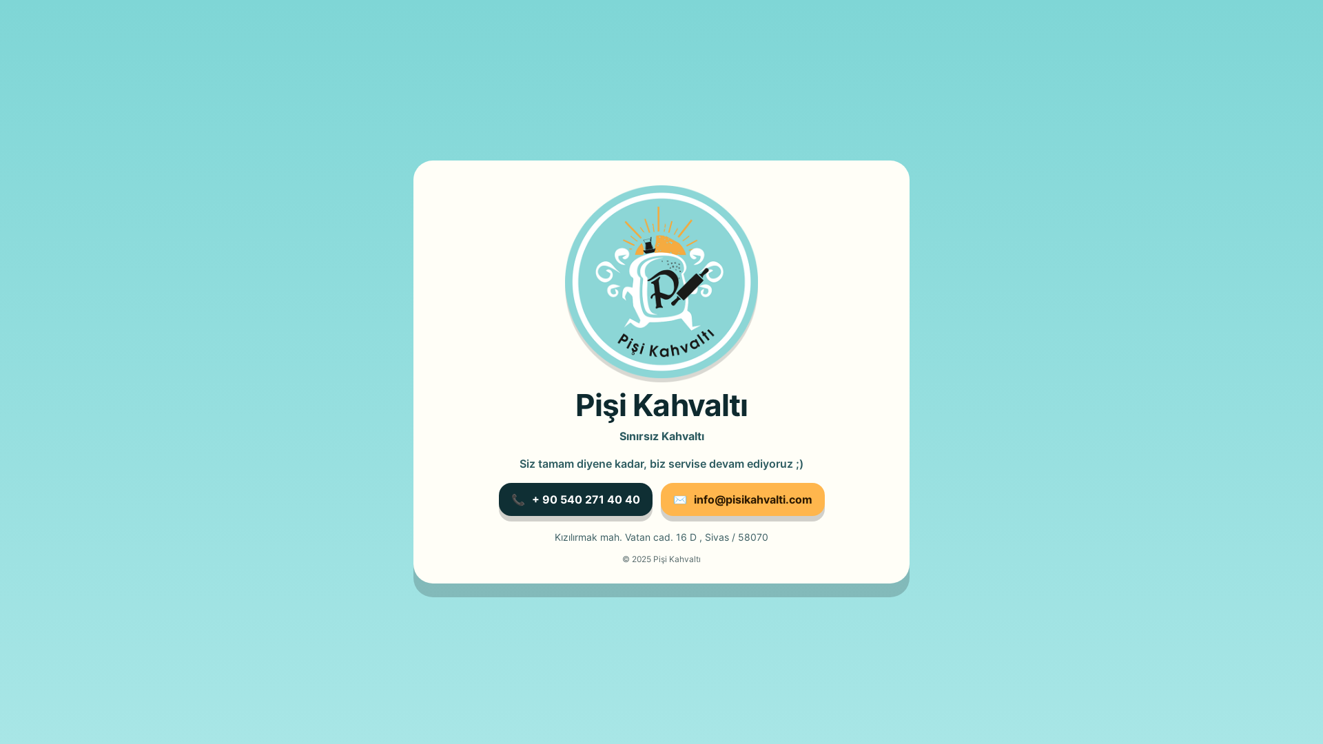website screenshot of https://pisikahvalti.com/