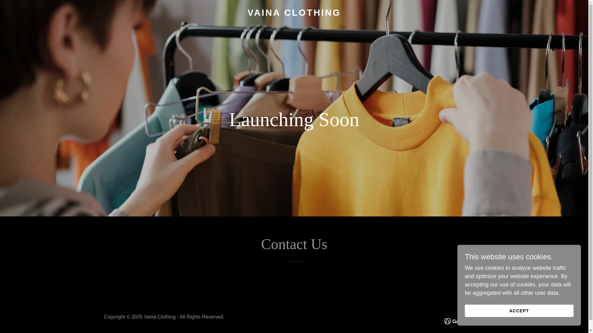 website screenshot of https://vaina.in/