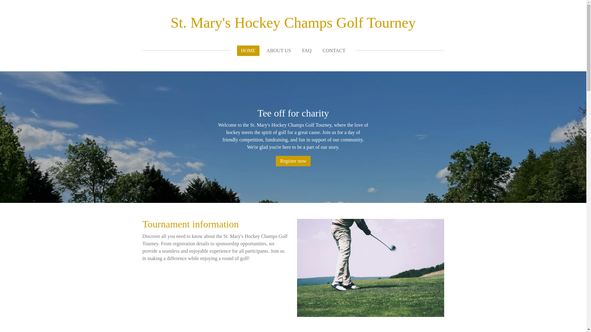 website screenshot of https://hockeychamps86.com/