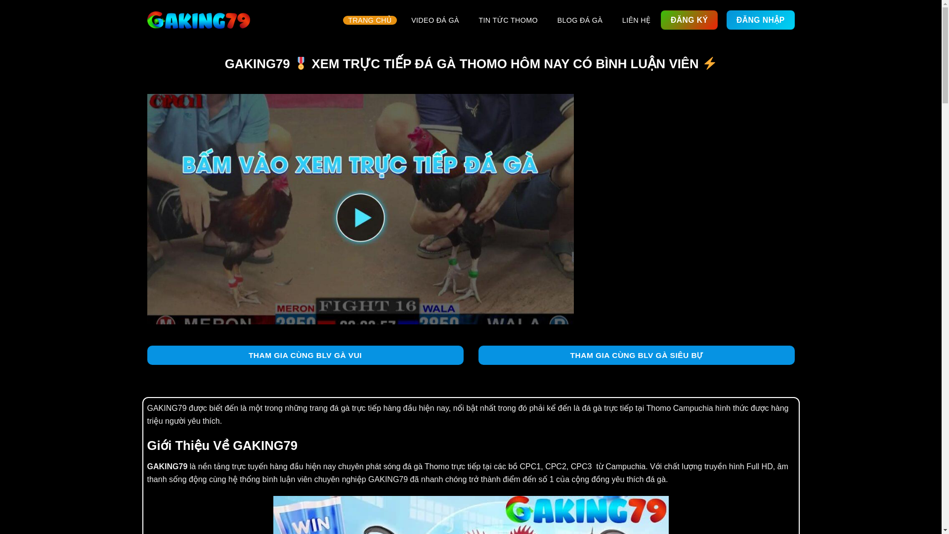 website screenshot of https://bogahoalu.com/