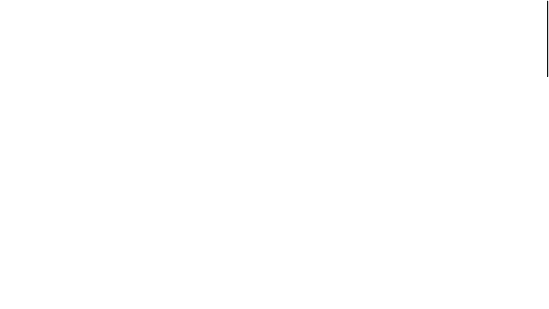 website screenshot of https://trust-insogmbh.net/