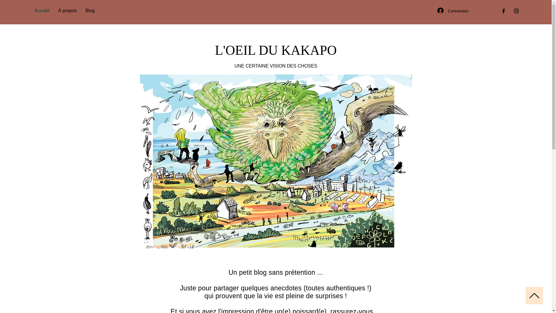 website screenshot of https://oeil-du-kakapo.fr/