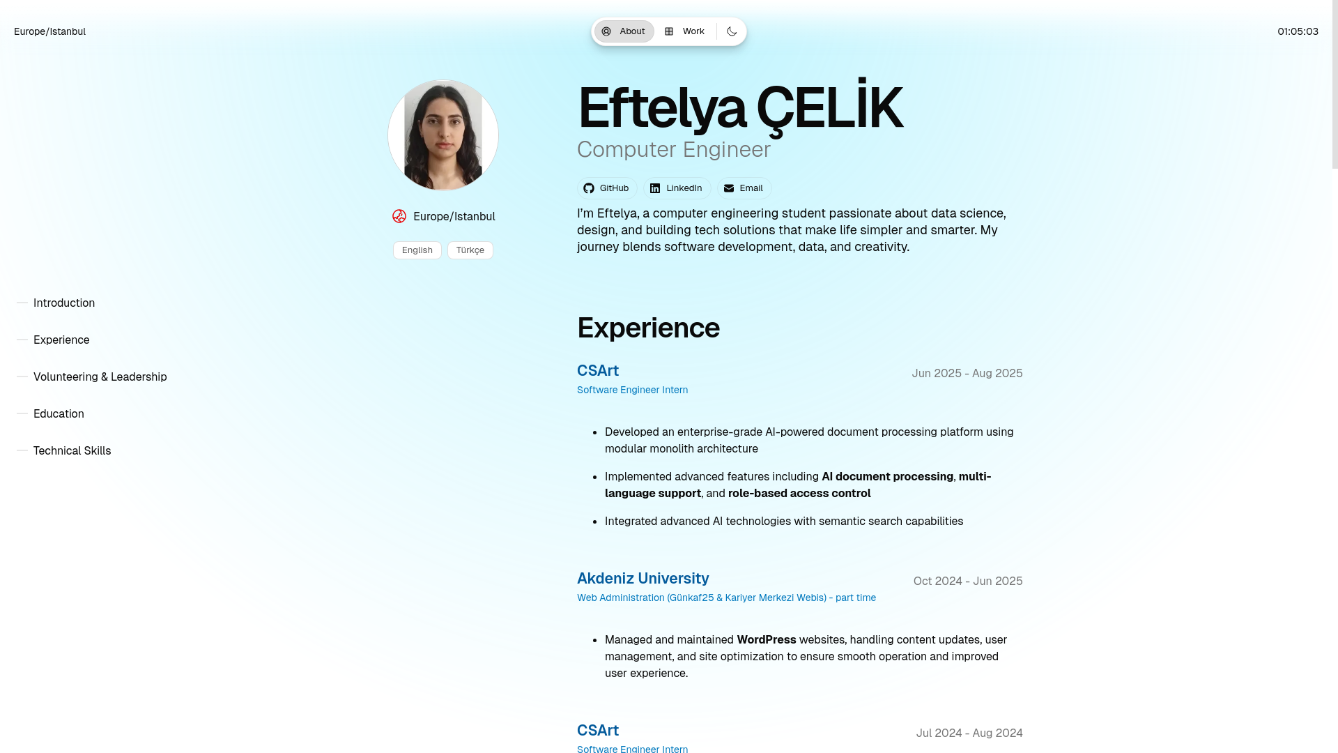 website screenshot of https://eftelyacelik.com/