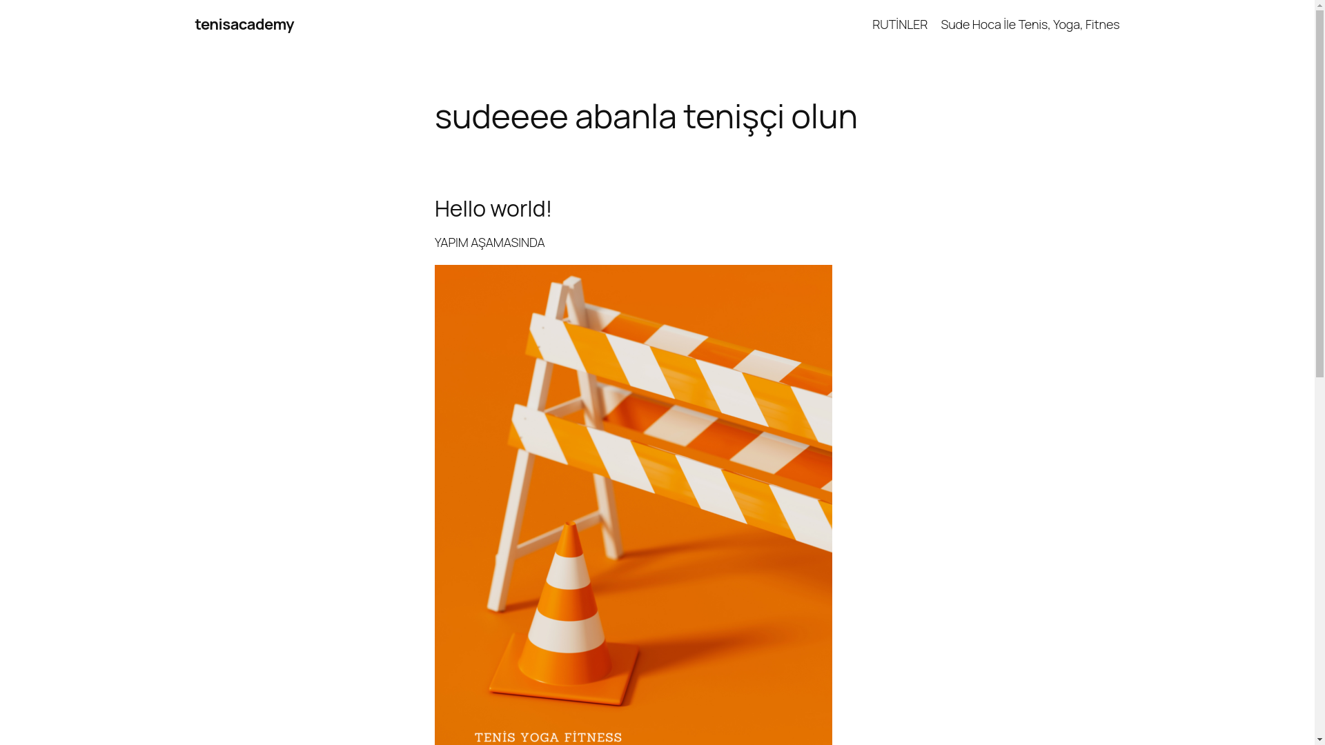 website screenshot of https://tenisacademy.com.tr/