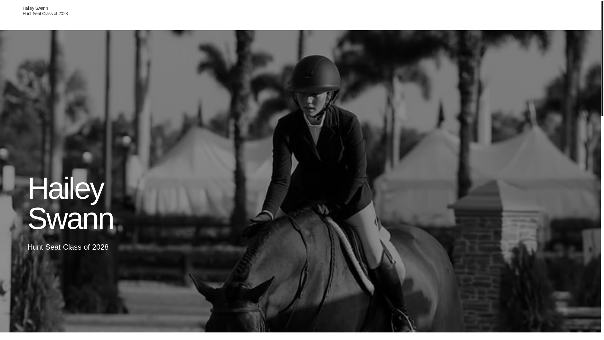 website screenshot of https://haileyswanneq.com/
