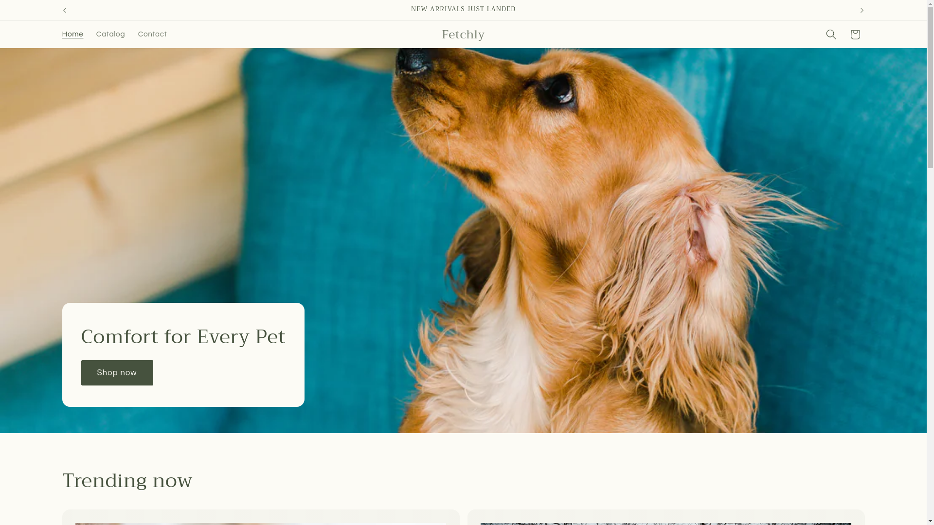 website screenshot of https://shopfetchly.store/