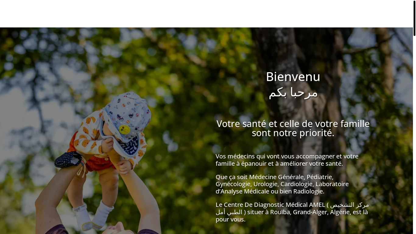 website screenshot of https://cddamel.com/