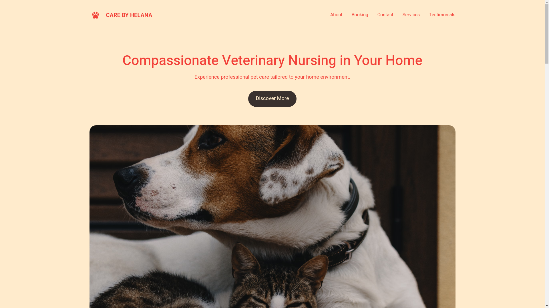 website screenshot of https://carebyhelana.co.uk/