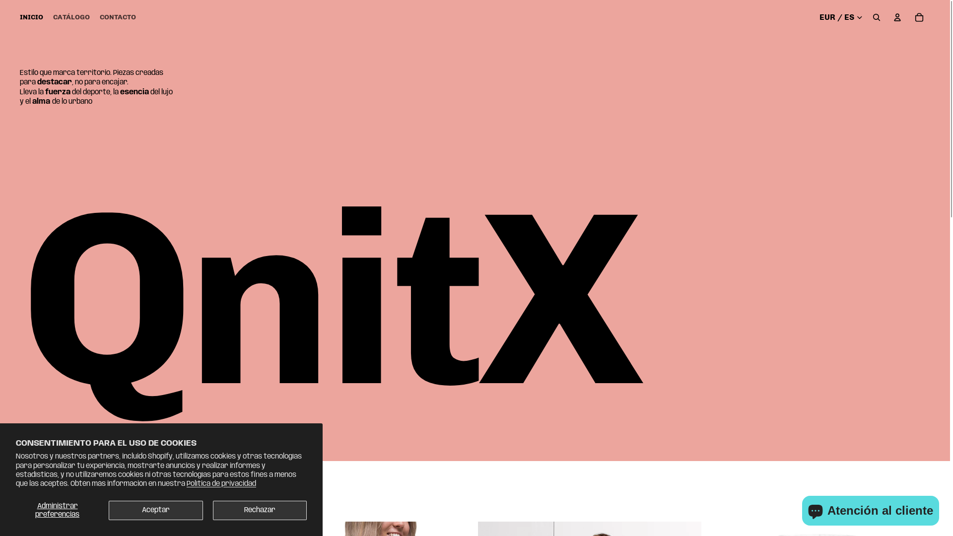 website screenshot of https://qnitx.com/