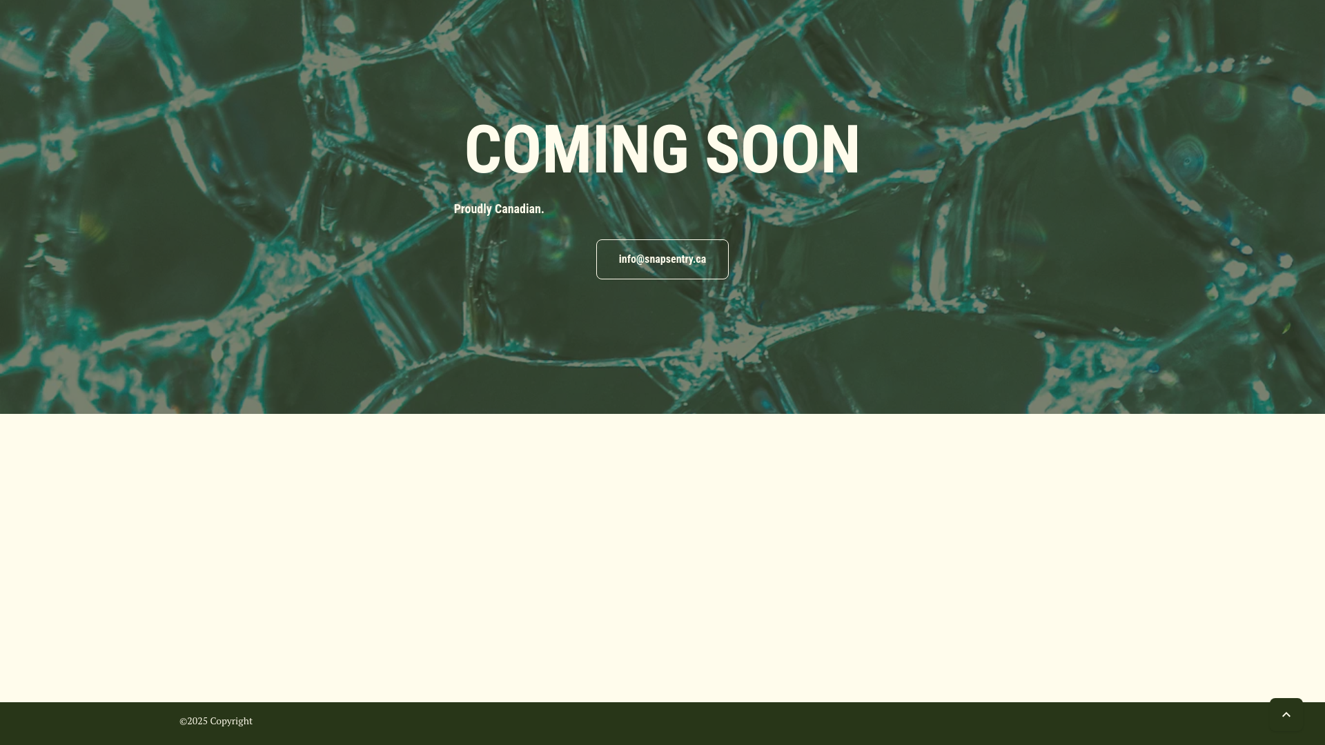 website screenshot of https://snapsentry.ca/