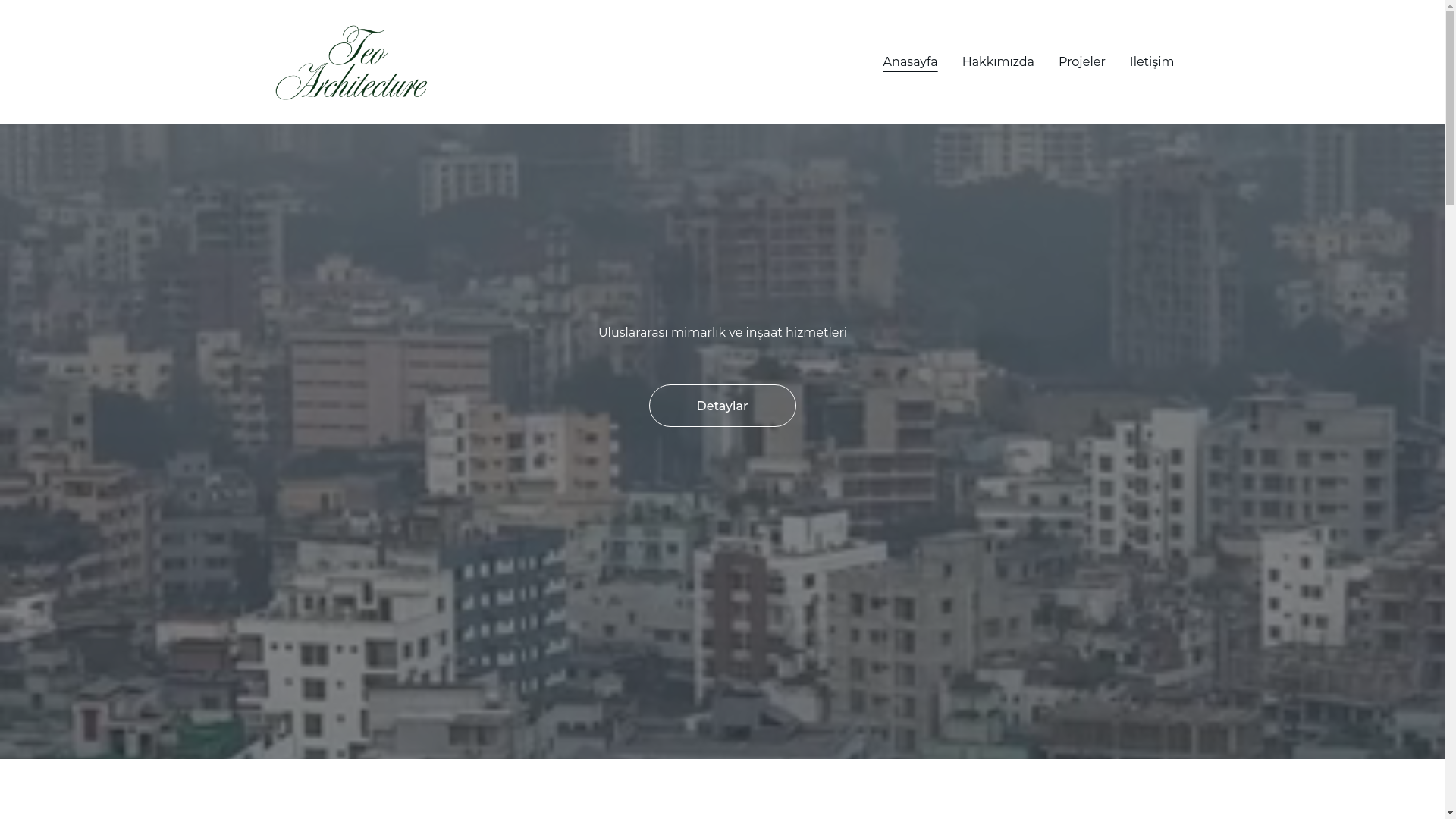 website screenshot of https://teoarch.com/