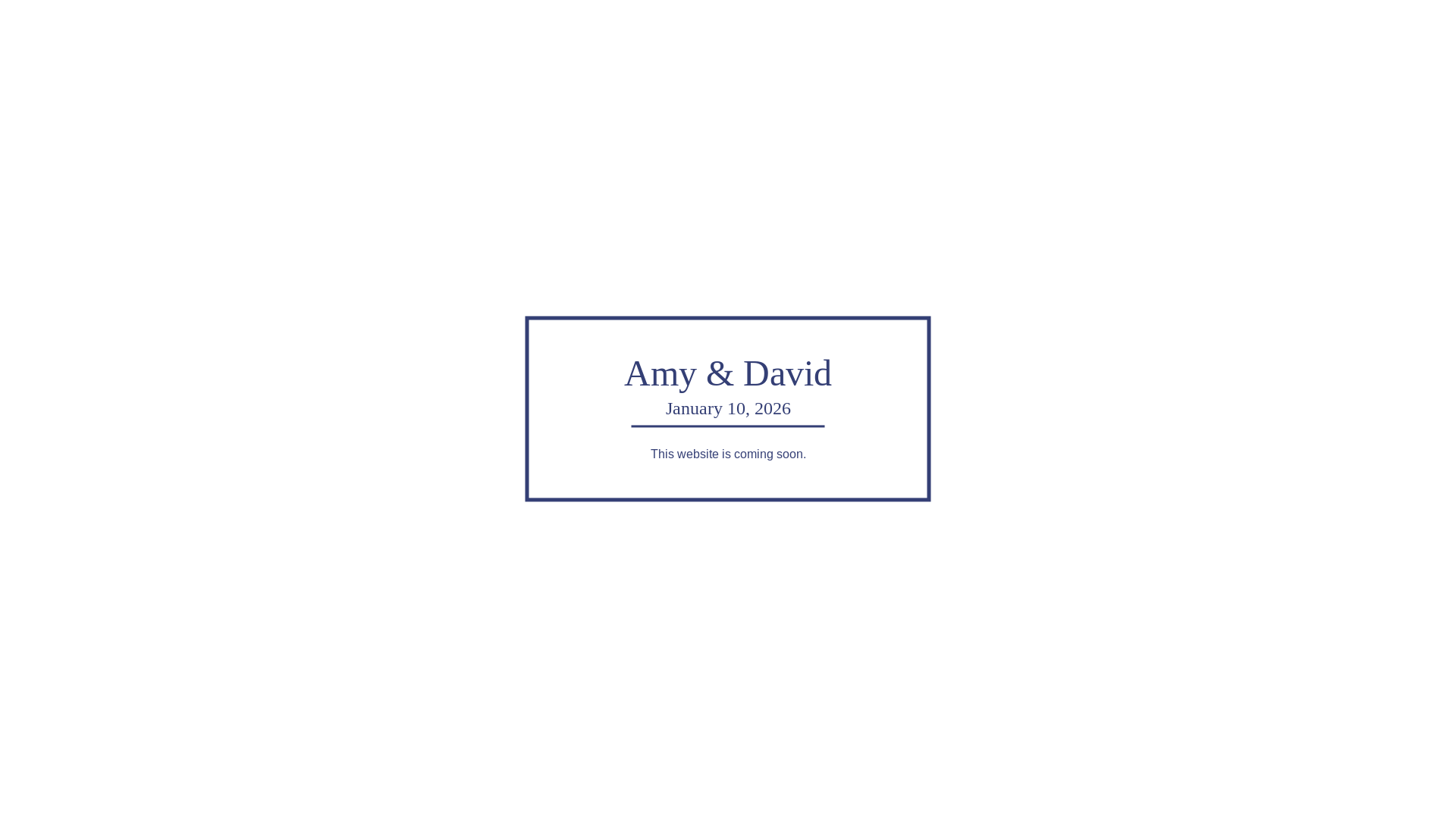 website screenshot of https://davidandamy2026.com/