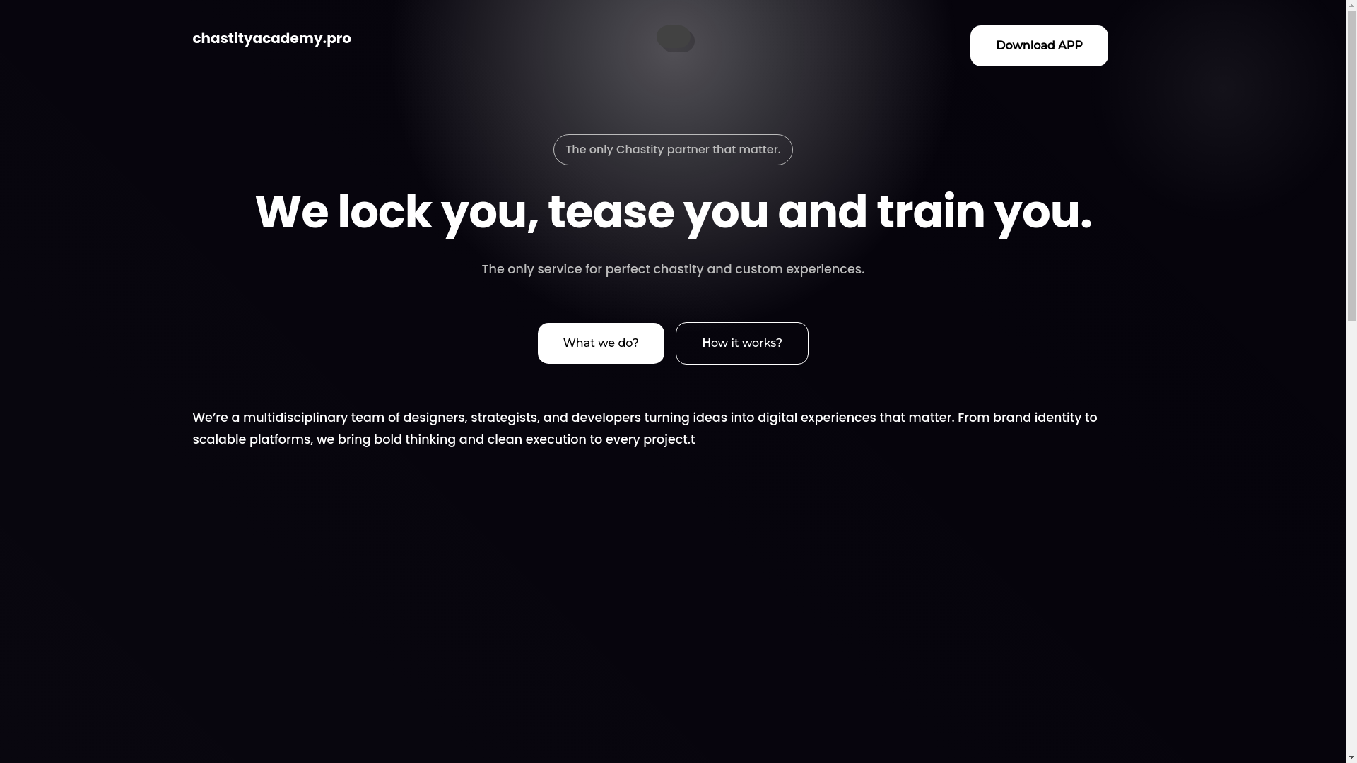 website screenshot of https://chastityacademy.pro/