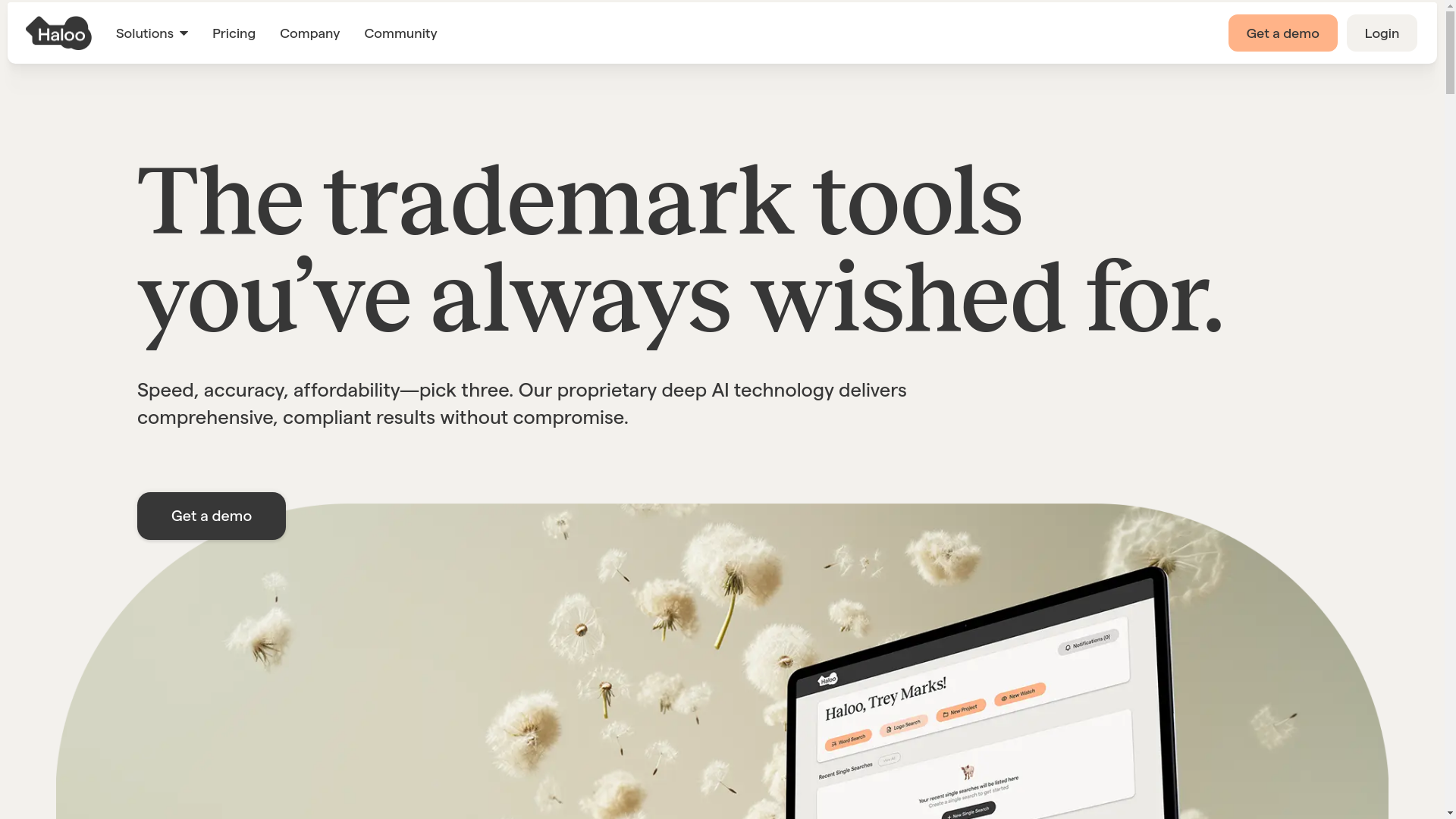 website screenshot of https://buildhaloo.com/