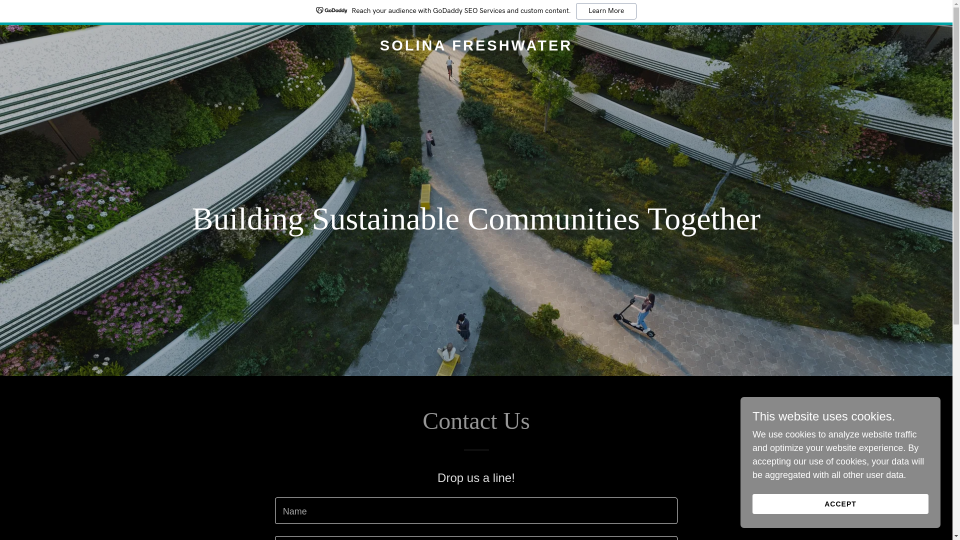 website screenshot of https://solinafreshwater.com.au/