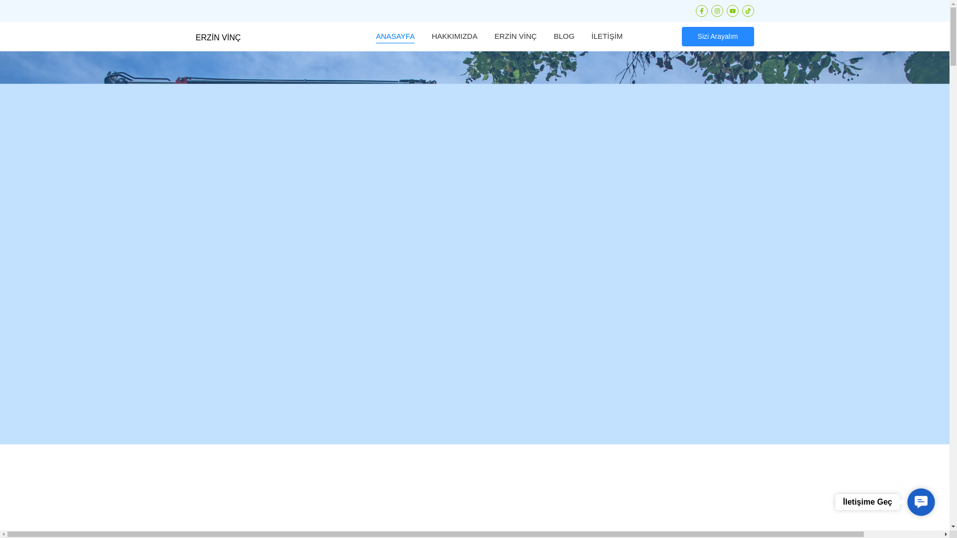 website screenshot of https://erzinvinc.tr/