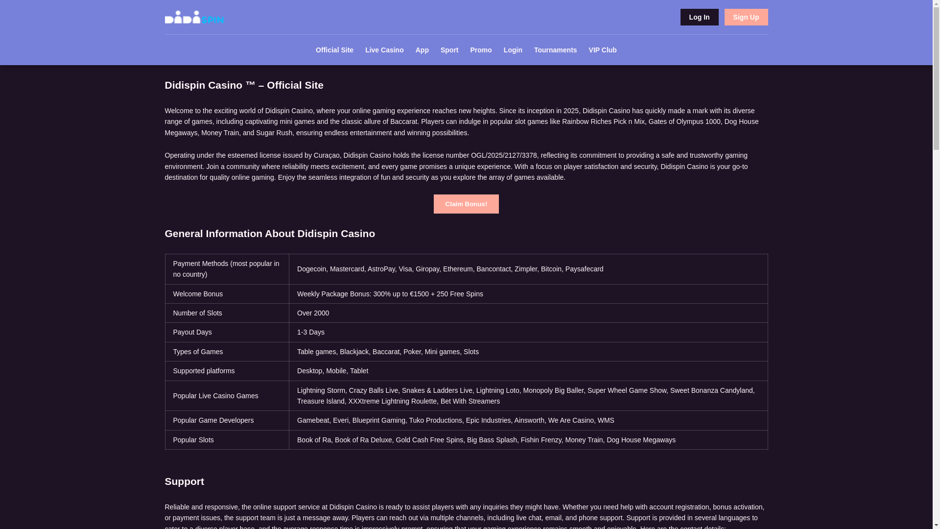 website screenshot of https://didi-spin-net.pages.dev/