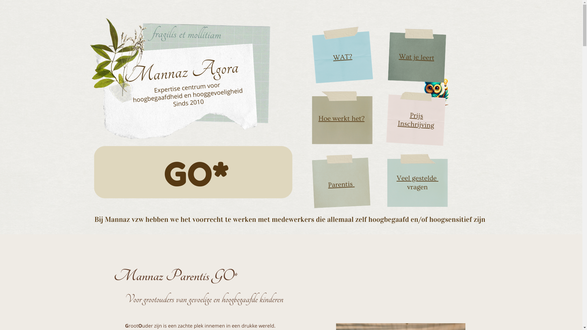 website screenshot of https://mannaz-go.be/