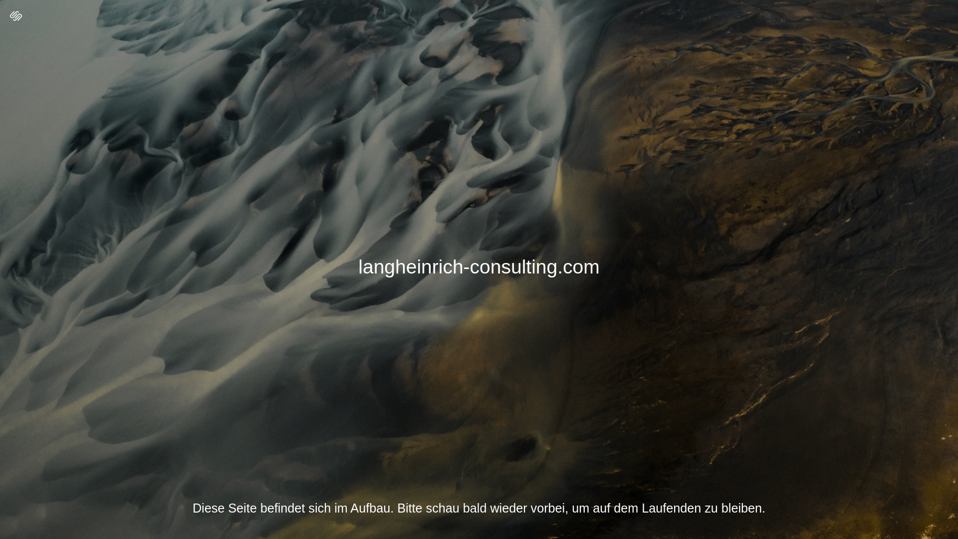 website screenshot of https://langheinrich-consulting.com/