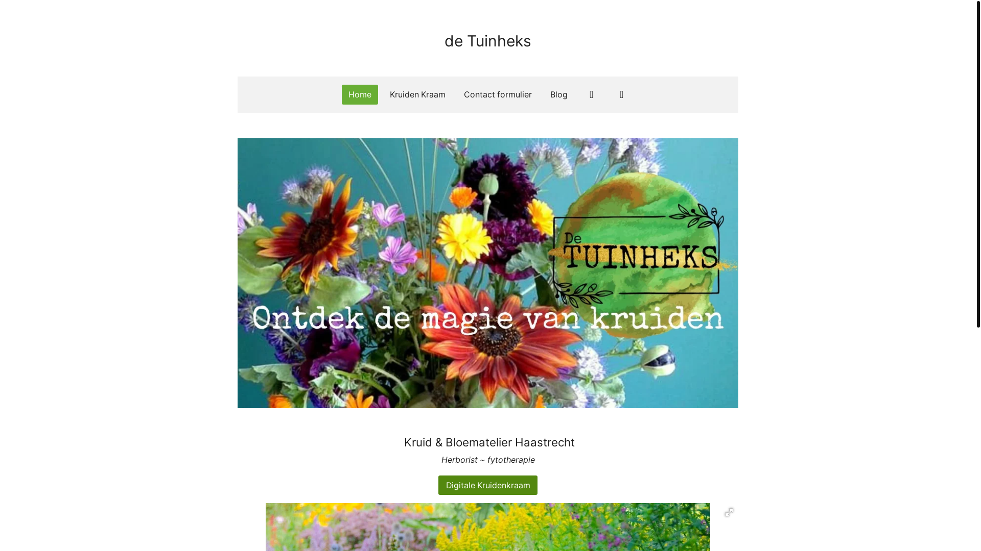 website screenshot of https://smeerwortelzalf.nl/
