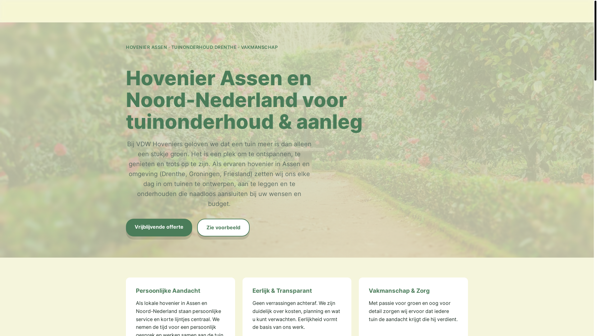 website screenshot of https://vdwhoveniers.nl/