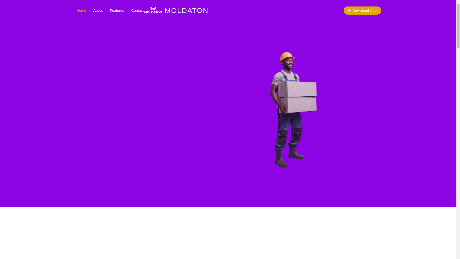 website screenshot of https://moldaton.com/
