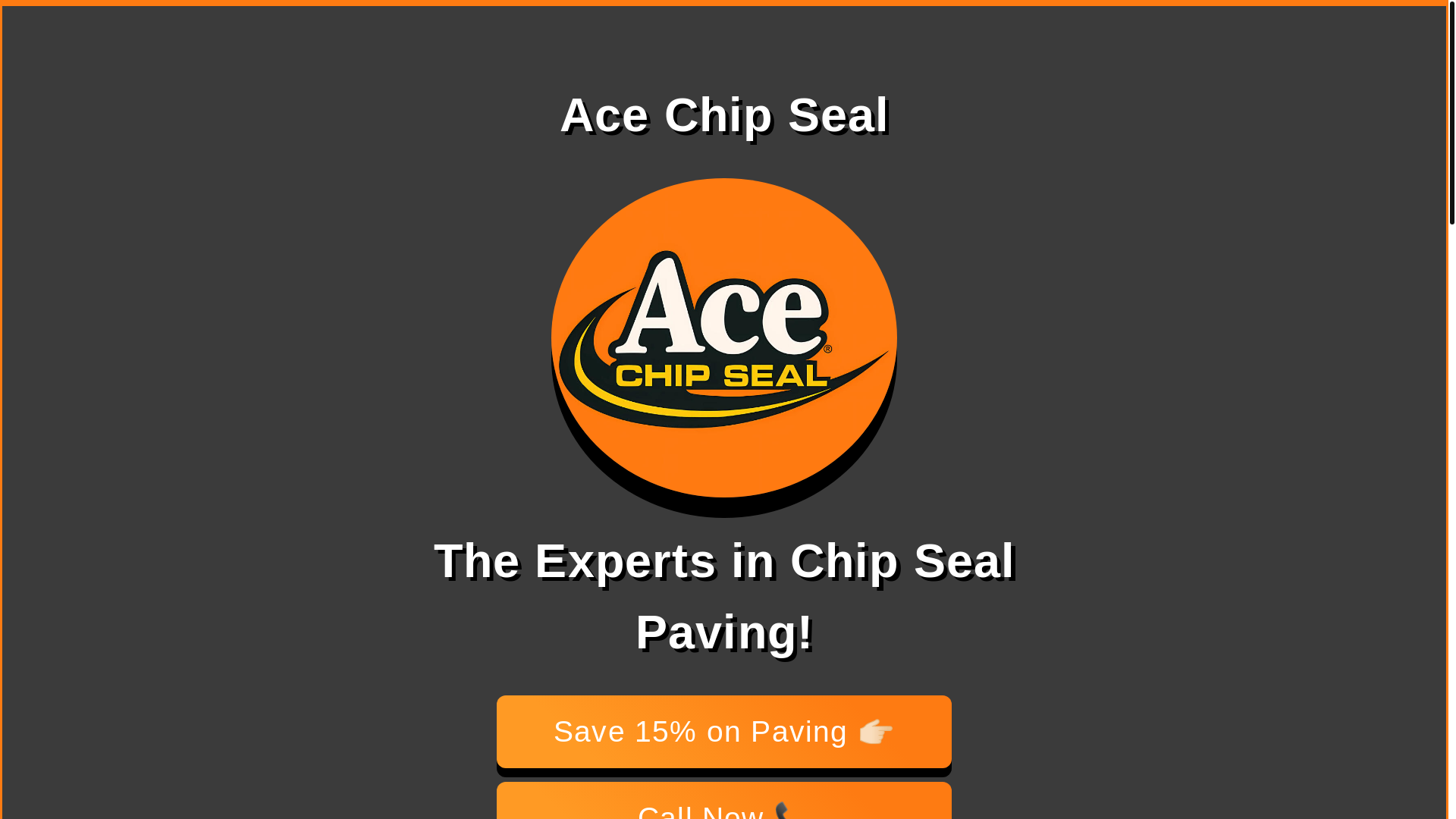 website screenshot of https://acechipseal.net/