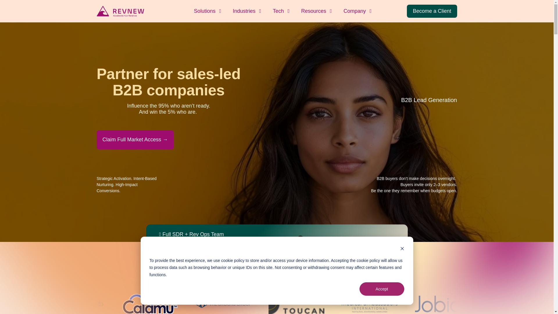 website screenshot of https://revnew.online/