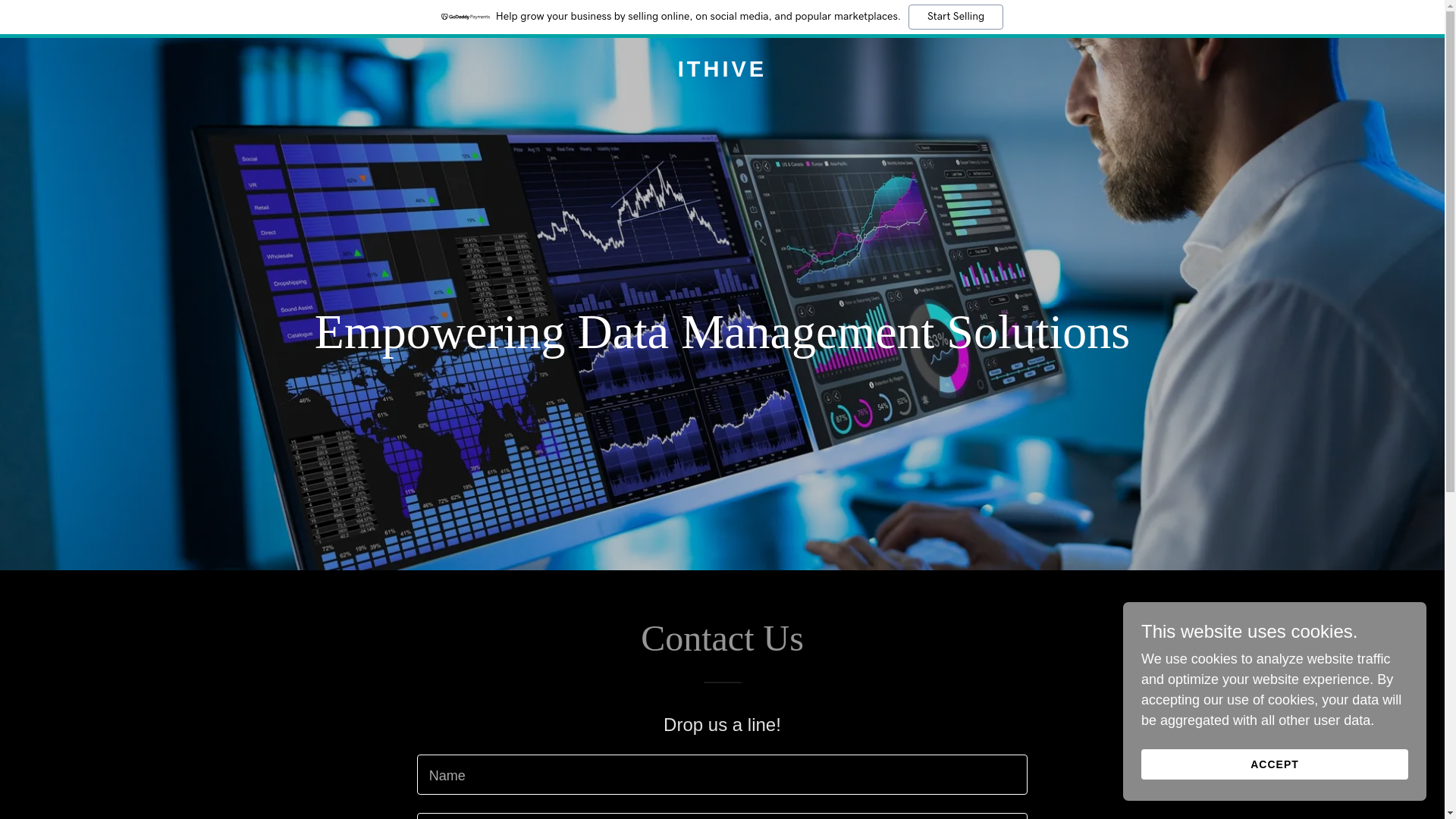 website screenshot of https://ithive.us/