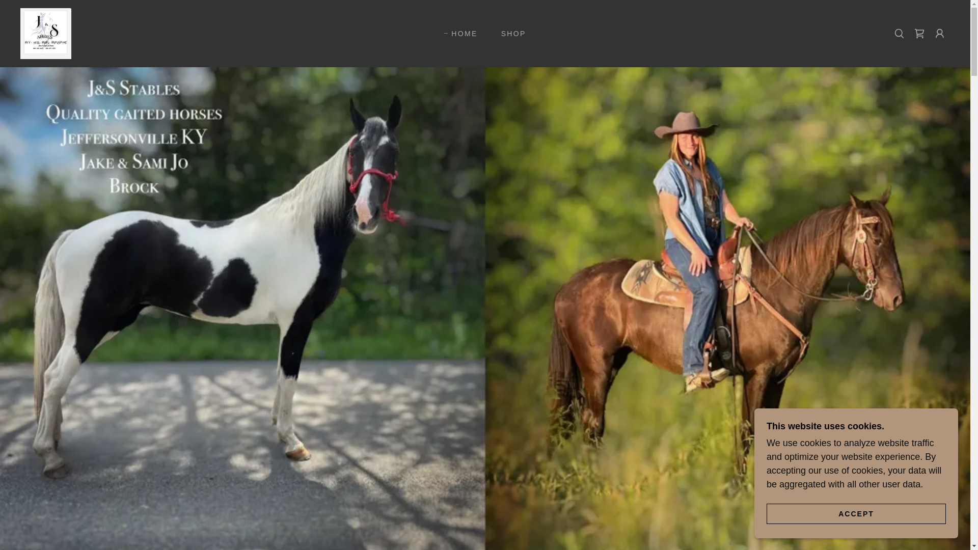 website screenshot of https://jsstablesqualitygaitedhorsesandtransport.com/