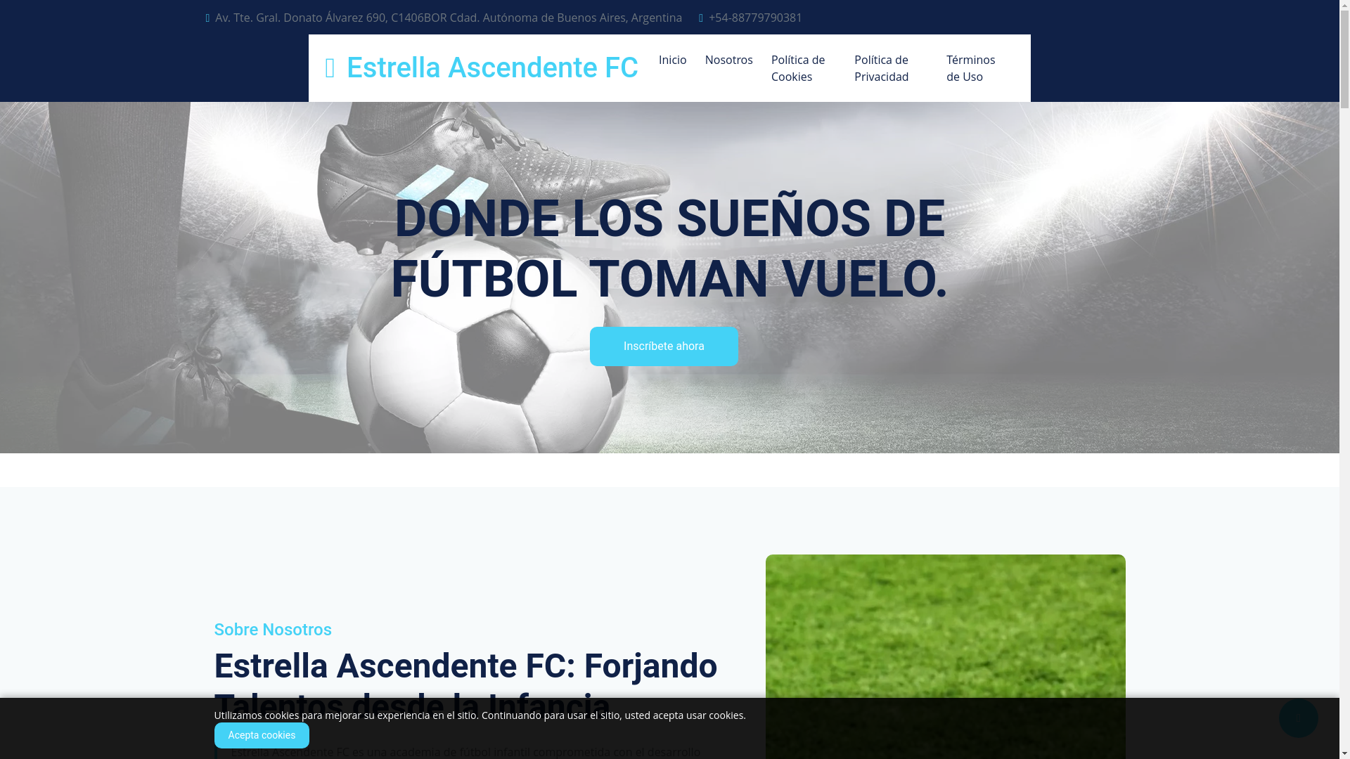 website screenshot of https://estrella-ascendente.com/