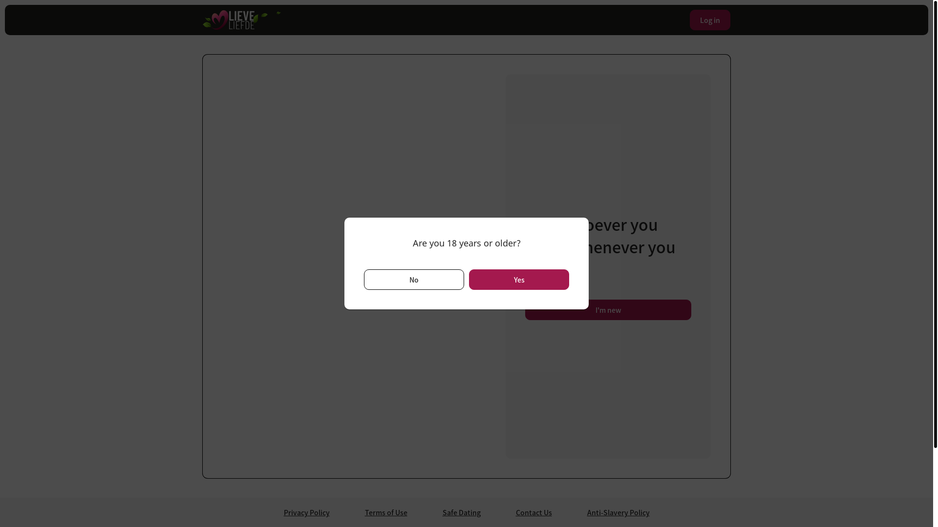 website screenshot of https://www.lieveliefde.com/