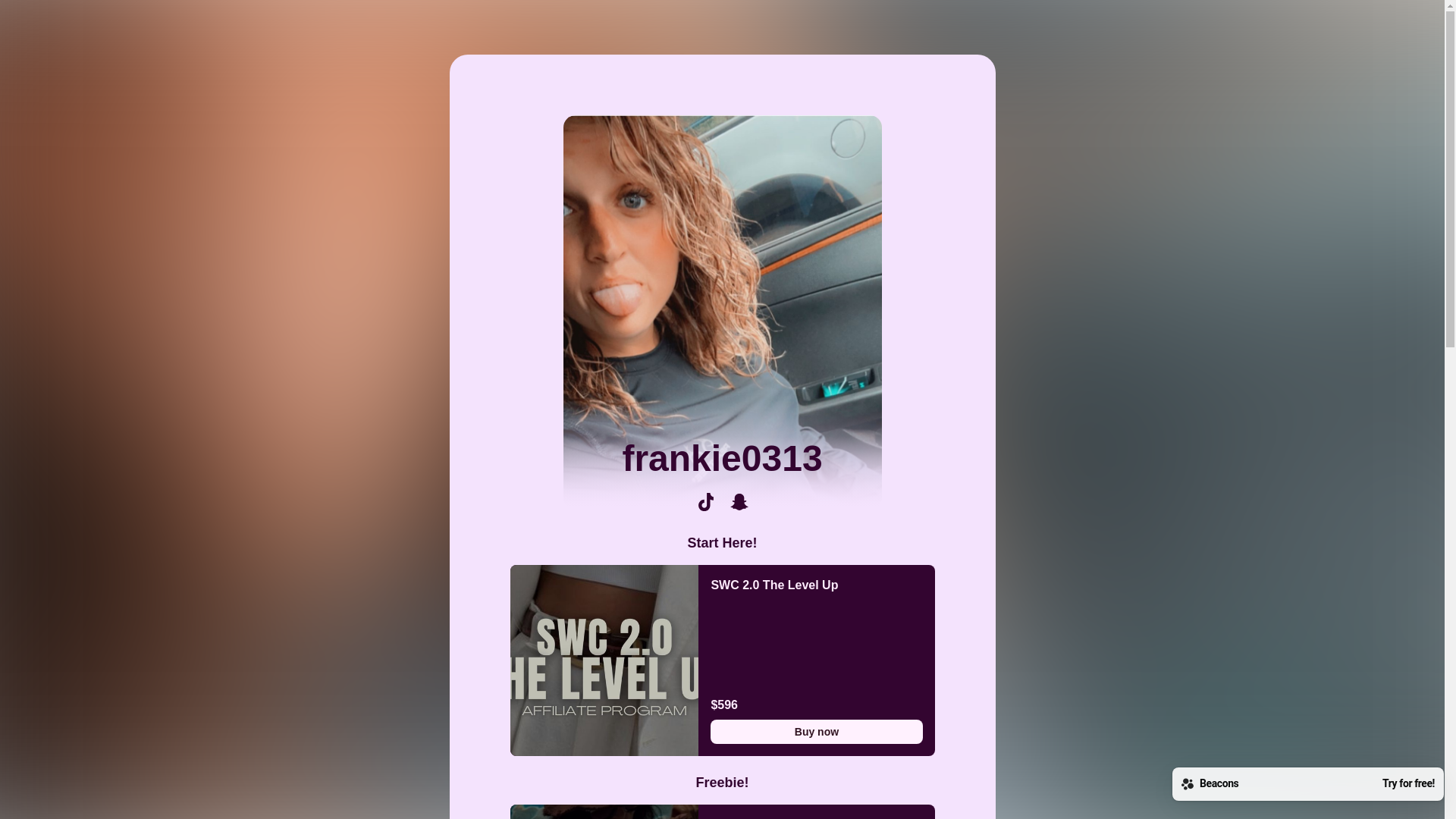 website screenshot of https://frankie0313.com/
