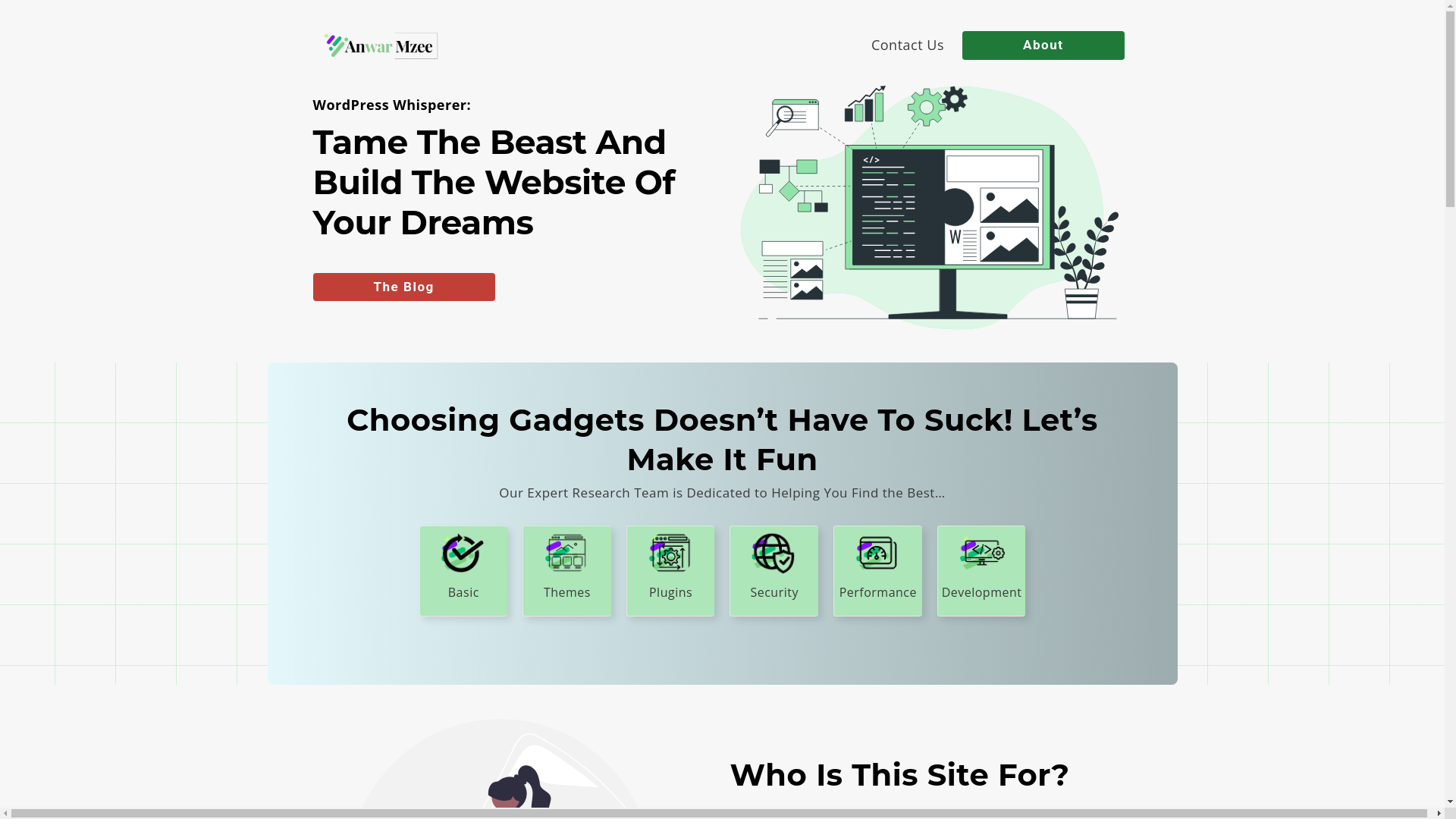 website screenshot of https://anwarmzee.com/