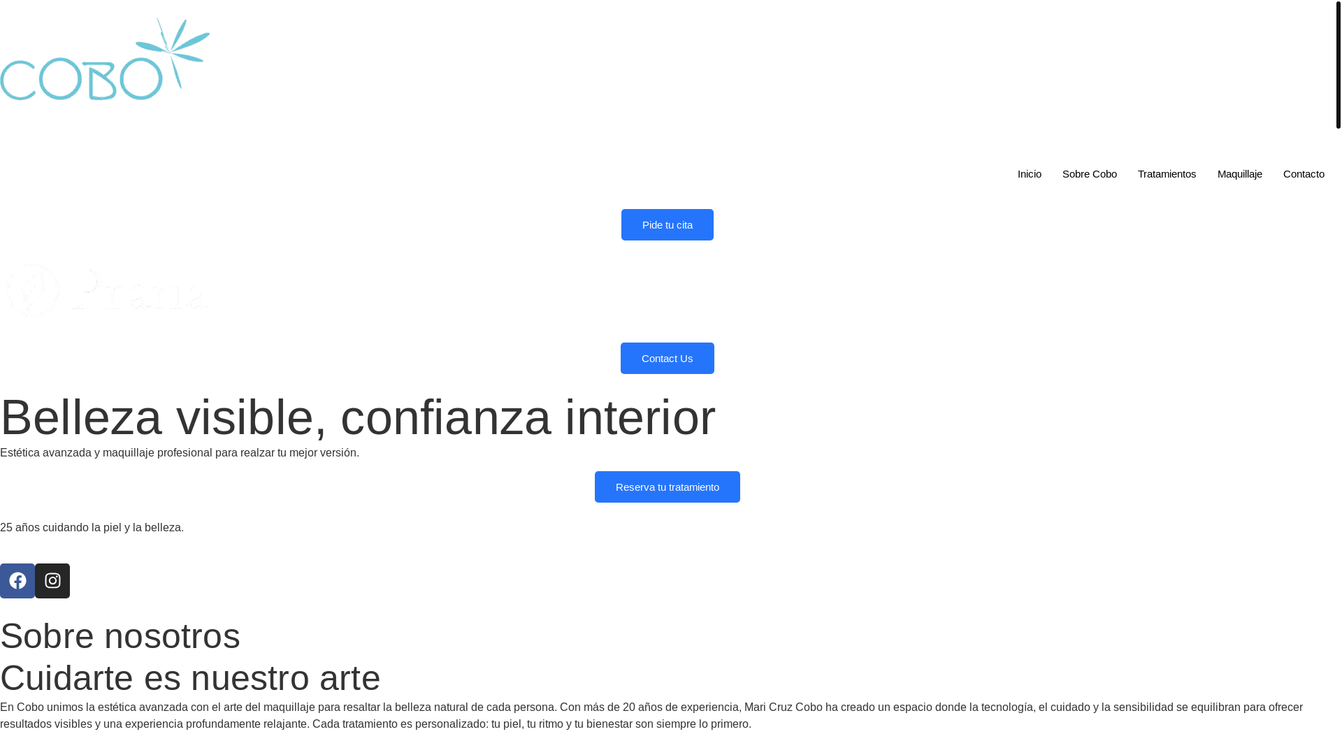 website screenshot of https://coboesteticavanzada.com/